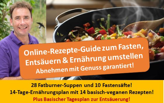 Rezepte-Guide - 52 basisch-vegane Rezepte zum Fasten, Entsäuern und Abnehmen ONLINE-LINK