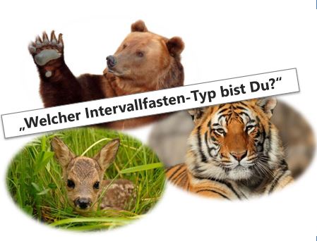 Intervallfasten & Fettverbrennung